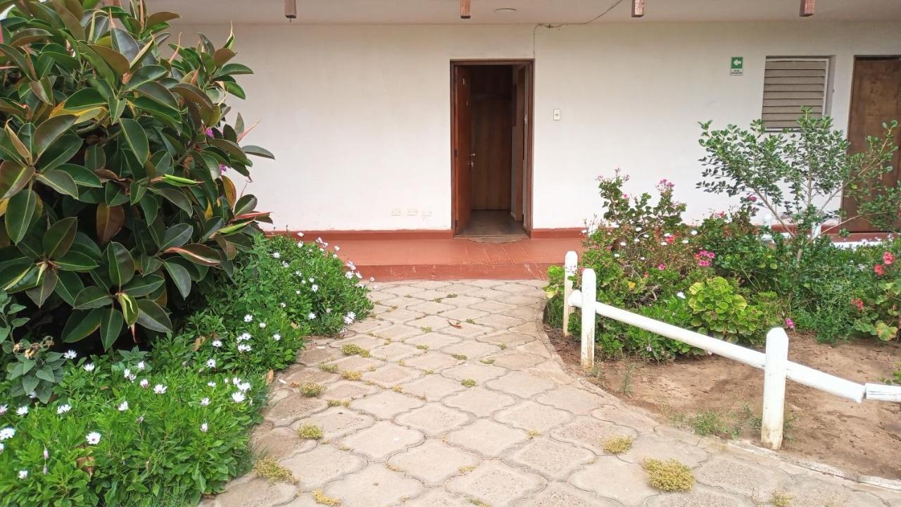 Apartamento Departamento 104